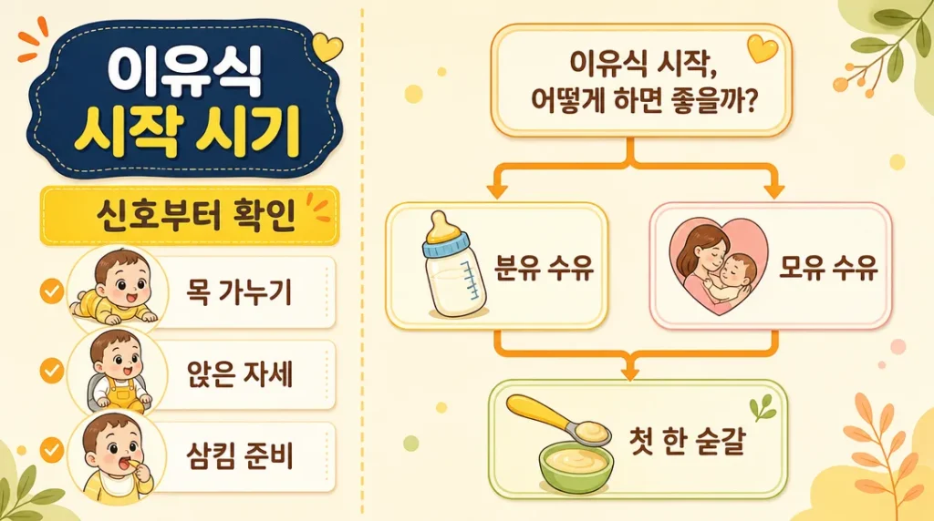 이유식 시작 시기 판단 흐름을 수유 방식별로 나눠 보여 주는 인포그래픽
